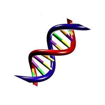 Cryptanalysis Genetic Algorithm